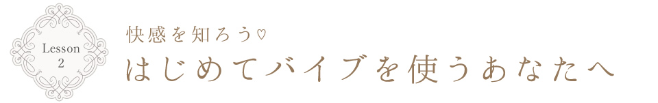 Lesson2 快感を知ろう はじめてバイブを使うあなたへ
